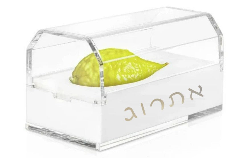 Acrylic Etrog Box – Lightweight & Elegant Etrog Holder for Sukkot
