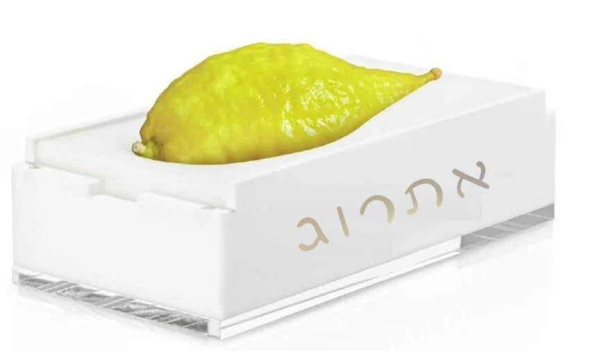 Acrylic Etrog Box – Lightweight & Elegant Etrog Holder for Sukkot